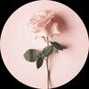 therosebudedit